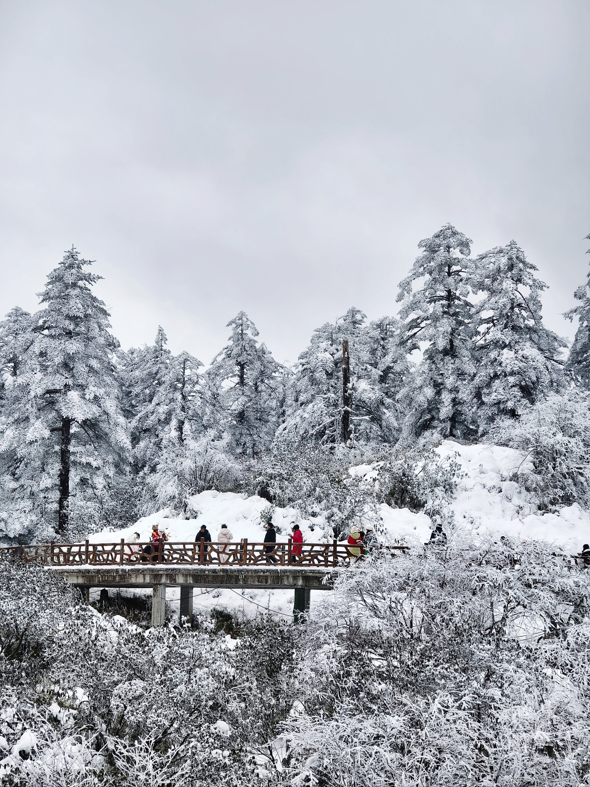 乐鱼体育(中国)官方网站-冬季飘雪徒步穿越，体验雪原的纯净与静谧的简单介绍
