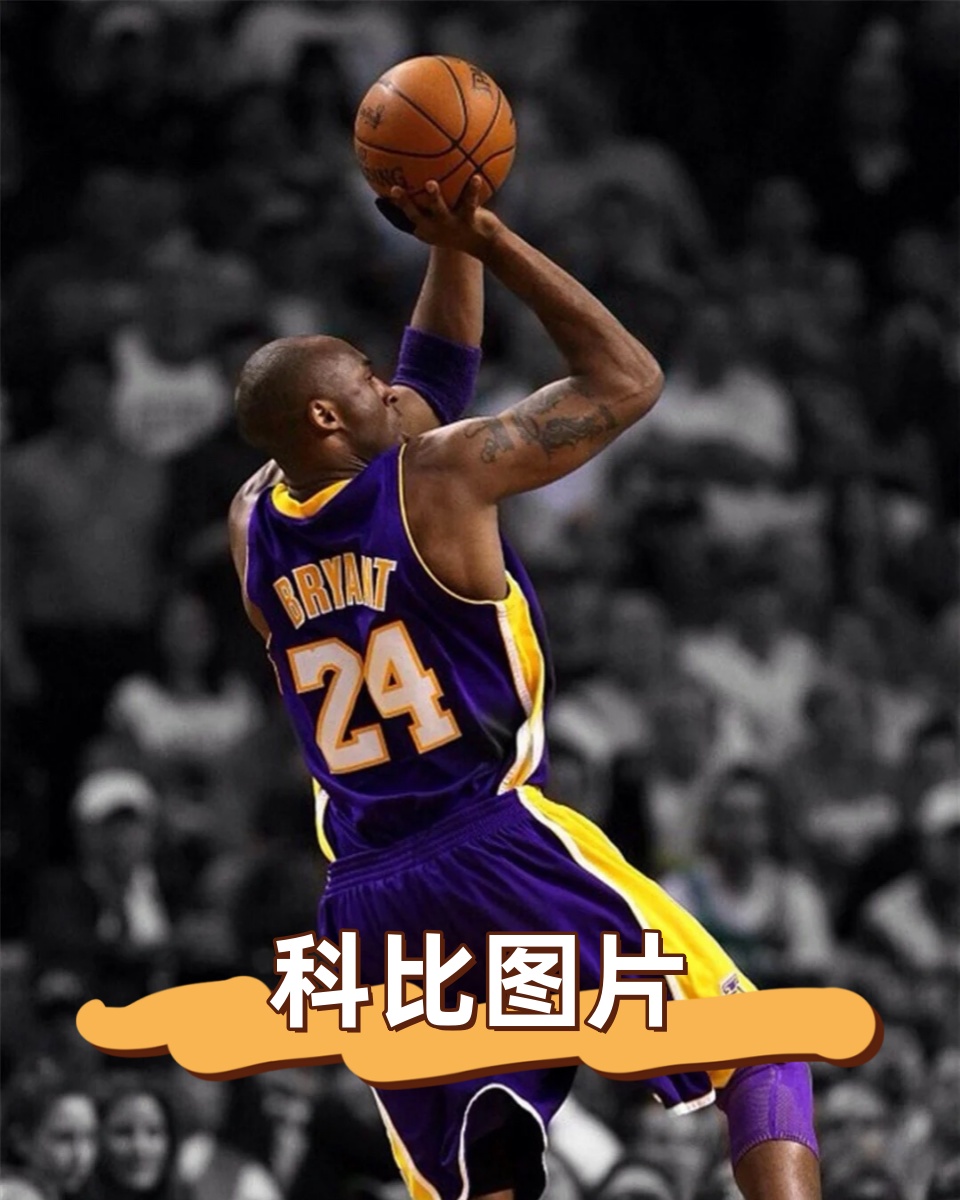 乐鱼电竞· (中国)官方网站-体育摄影展展出中国篮球经典瞬间，纪录历史的简单介绍