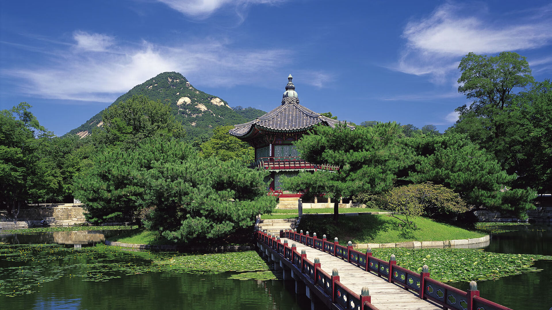 乐鱼（中国）体育官方网站-_勇士投篮如神，连连得分_，勇士如何投三分