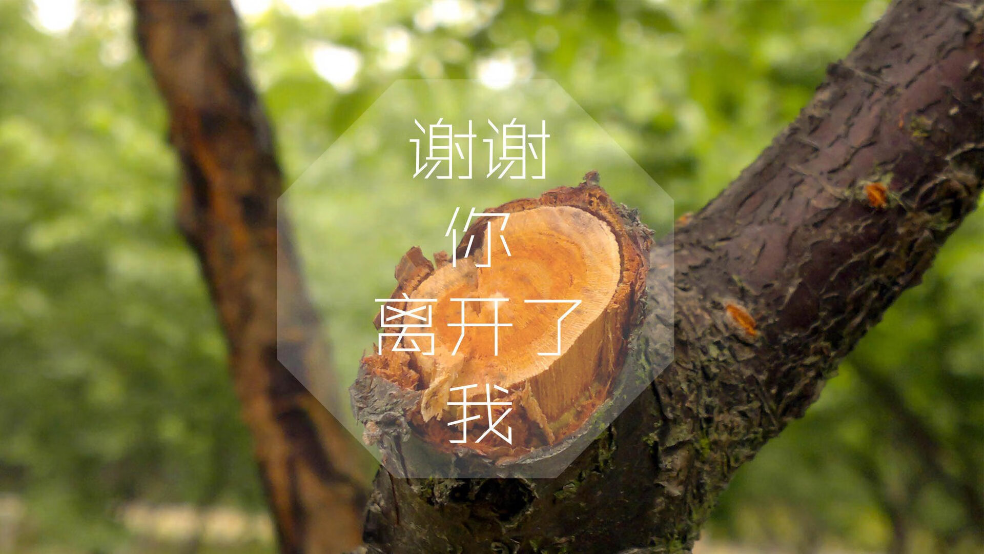 乐鱼体育-全国青少年“智慧篮科技创新奖”在重庆隆重颁发，推动青训科技化发展