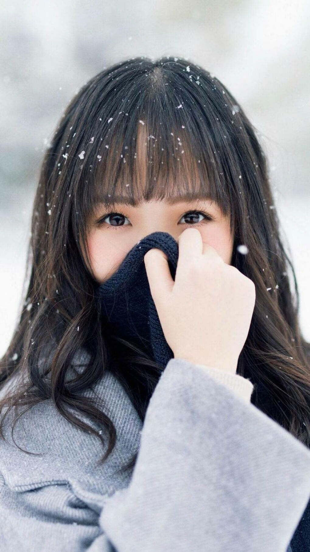 乐鱼app-日本马术协会举办马术教练培训班，提升教练员水平。，日本 练马