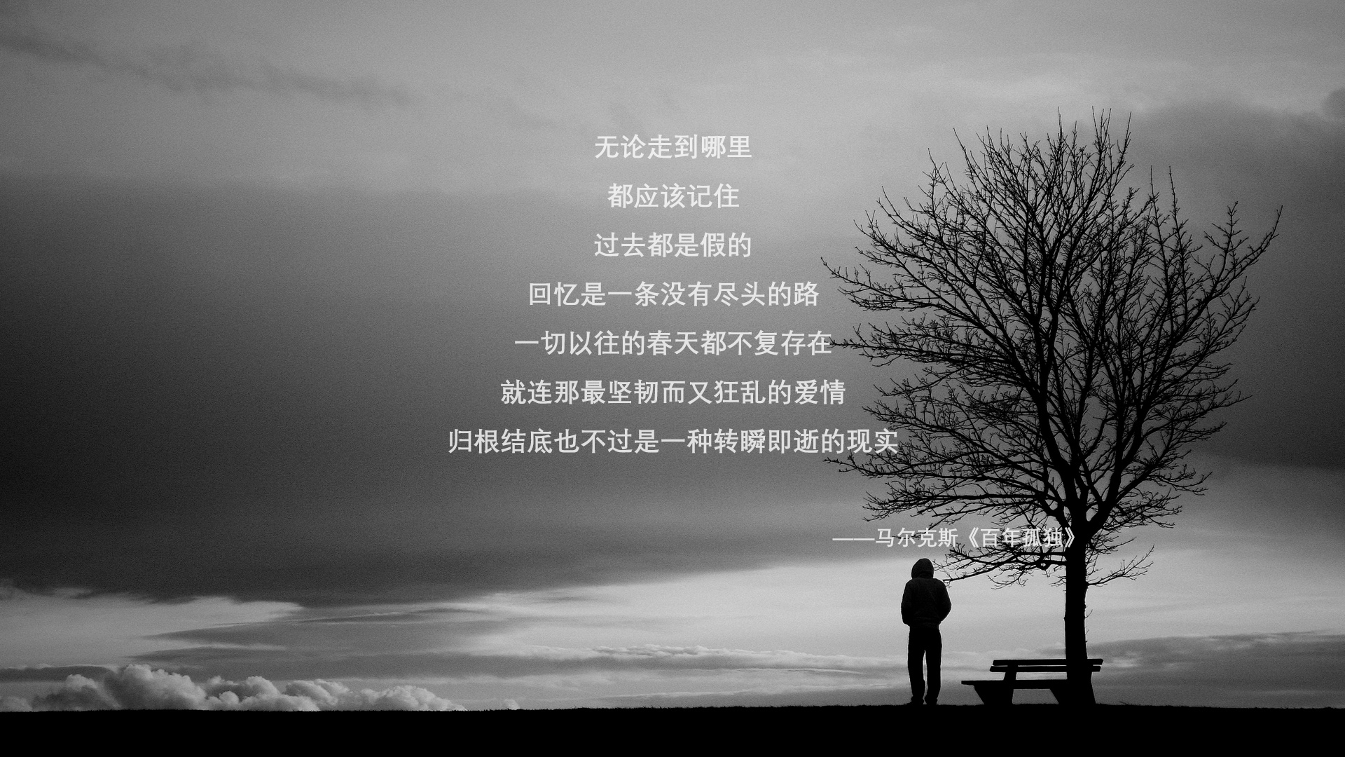 乐鱼体育-日本马术协会授予佐藤健一“年度最佳障碍赛骑手”称号。