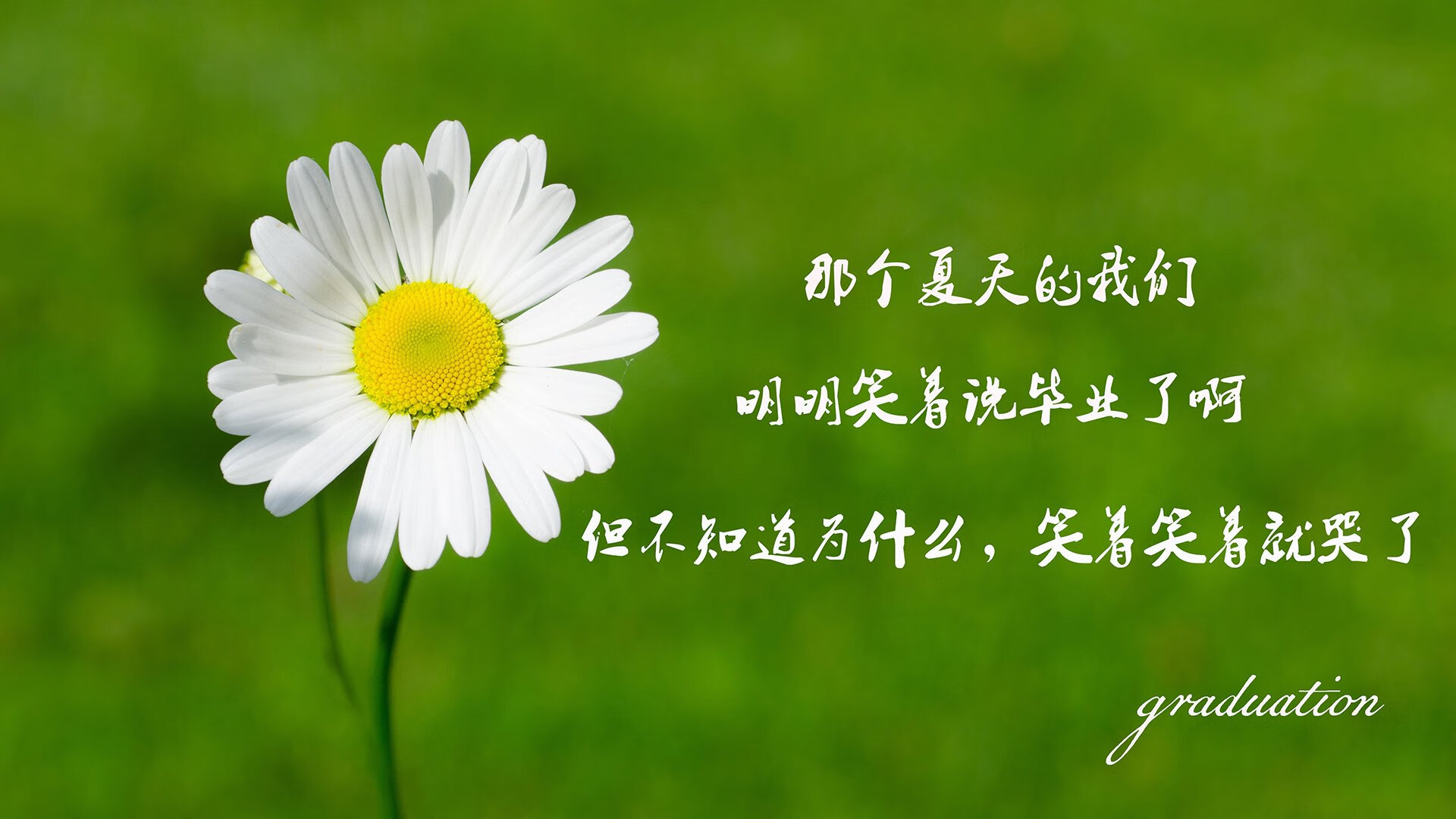 “2025世界运动会：短柄墙球在高新区全民健身馆赛场上，谁能成为头脑与力量的双重冠军？”