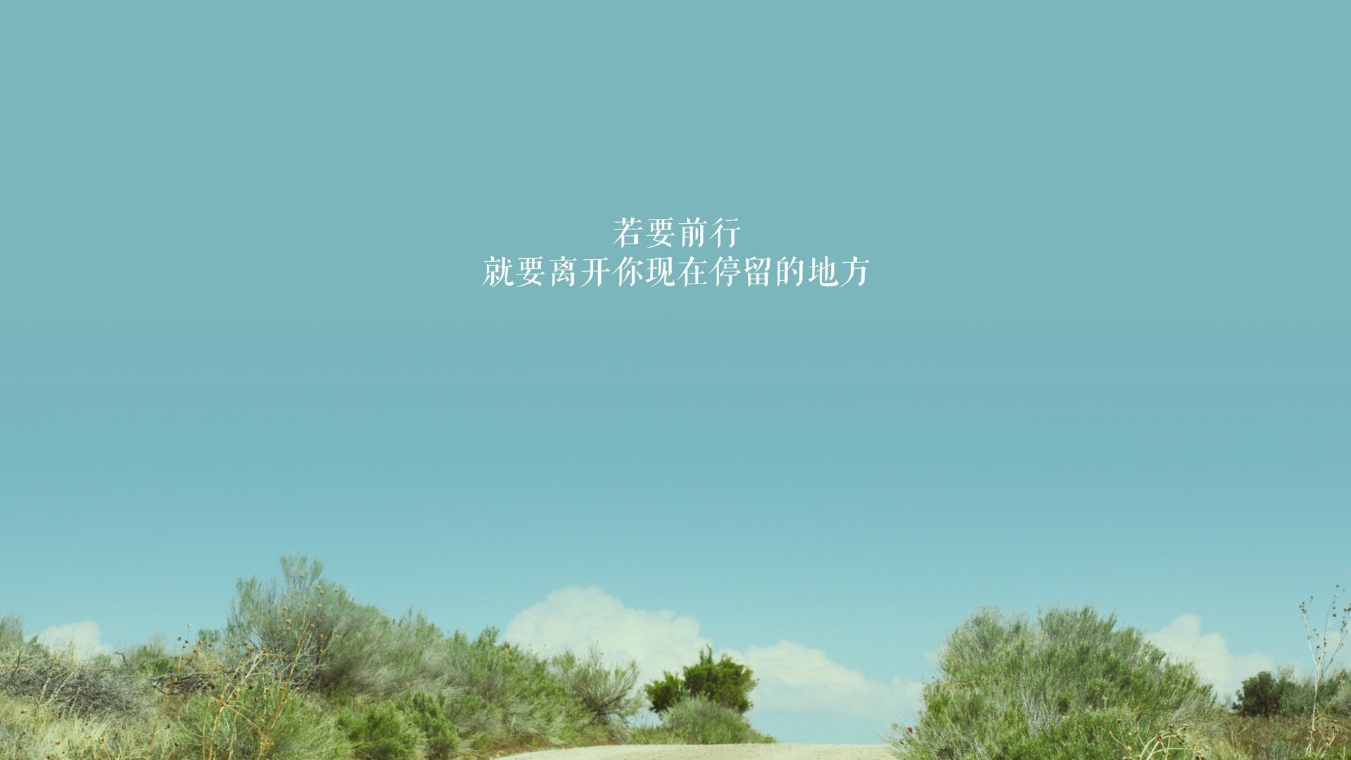 德甲火力全开：攻势如潮，场面火爆！，德甲 ds