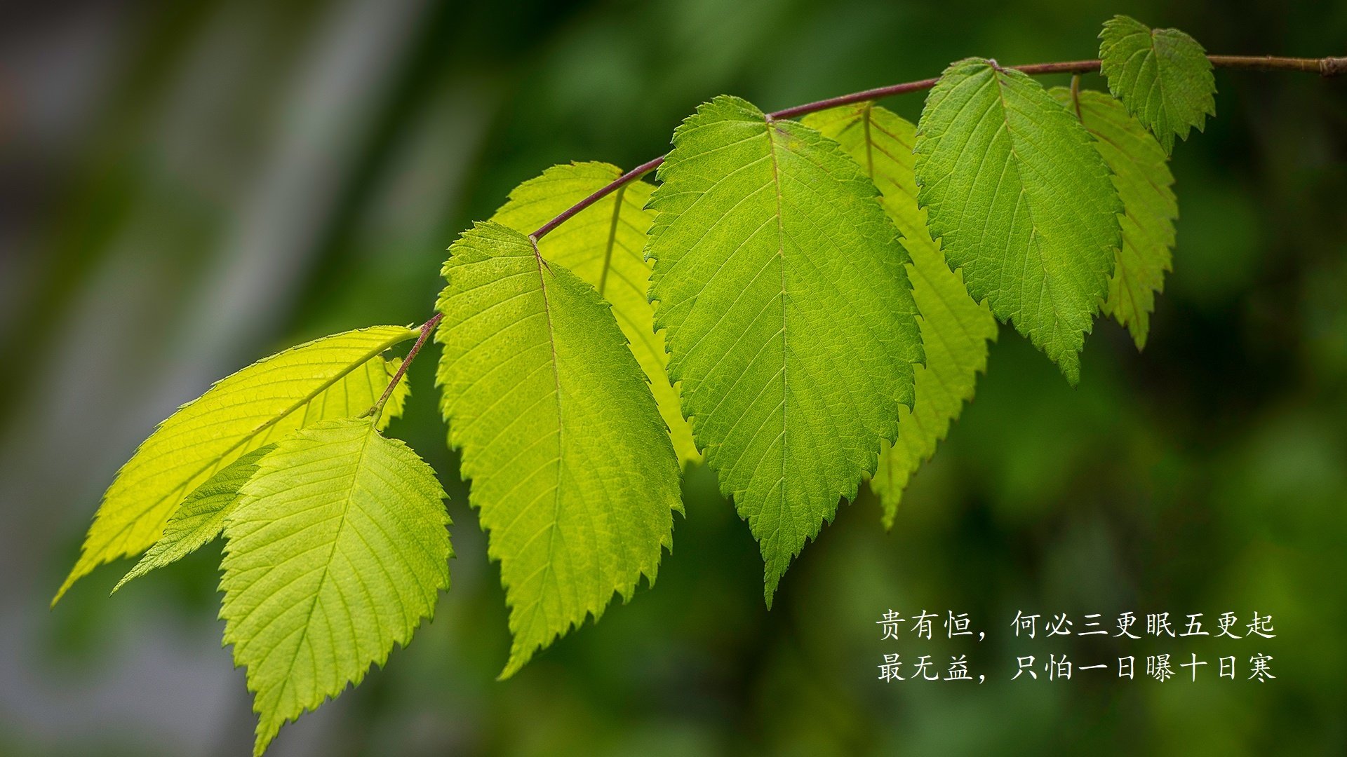 Leyu Sports (乐鱼体育)-联合训练对抗赛增加，国家队实战磨合提速，联合队啥意思