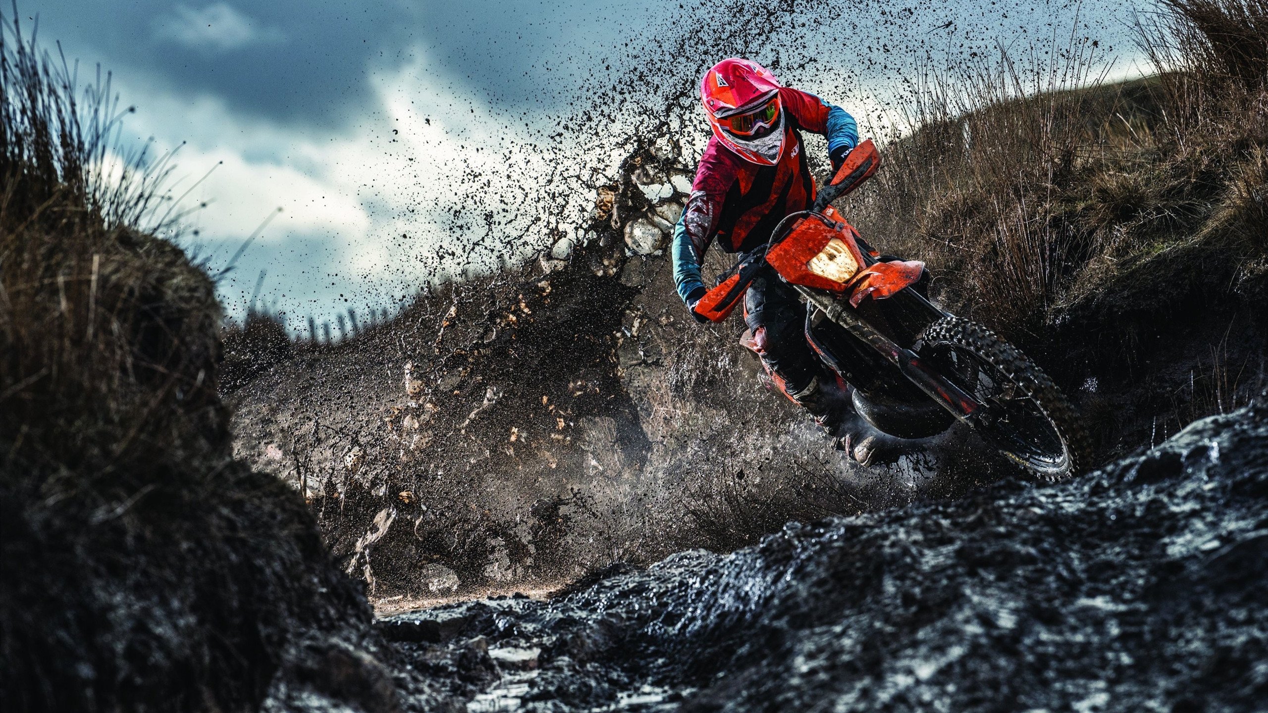 电竞行业的知识产权保护：打击盗版与维护创新，电竞版权号